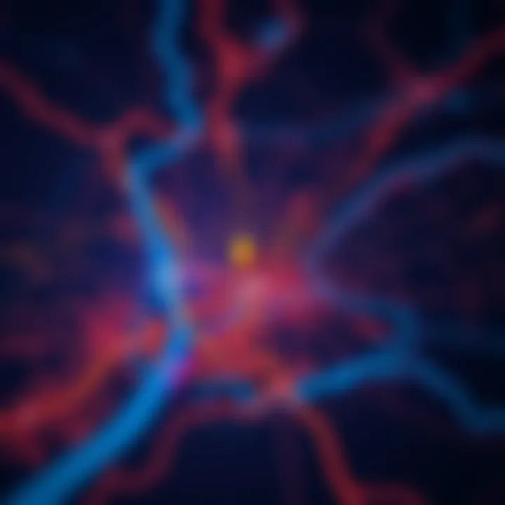 A detailed map illustrating different badge areas with city boundaries highlighted.