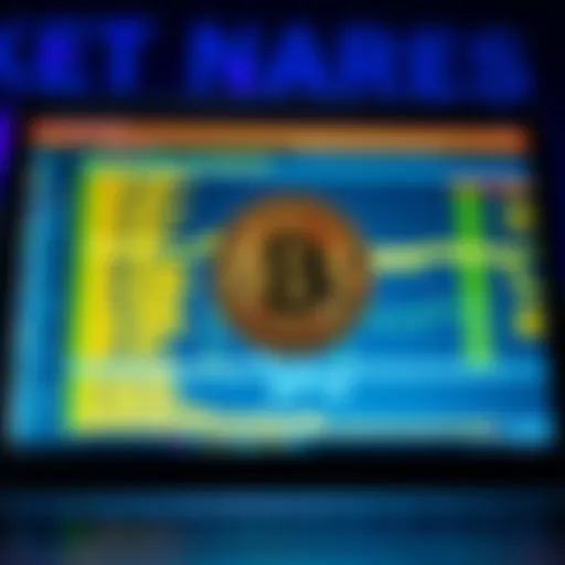 A computer screen displaying Bitcoin files, showcasing a digital wallet and cryptocurrency data.