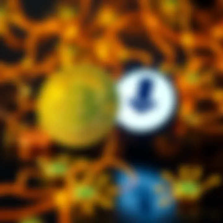 A digital representation showing Bitcoin symbols alongside a torrent icon, illustrating the link between cryptocurrency and file-sharing technology.