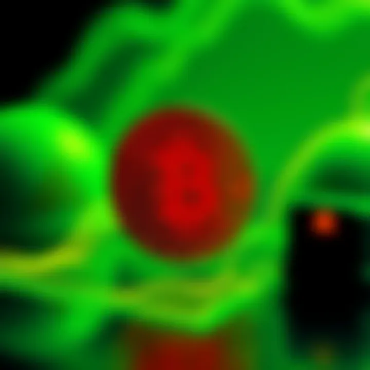 A graphic showing a Bitcoin logo with a red warning sign, representing a transaction error and crisis in August 2010.