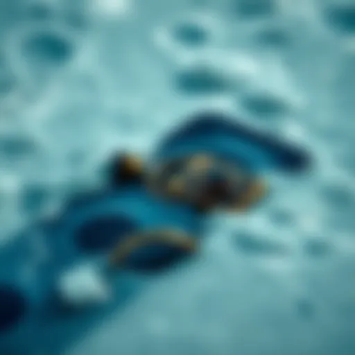 A damaged smartphone submerged partially in saltwater, representing loss of important data and crypto assets