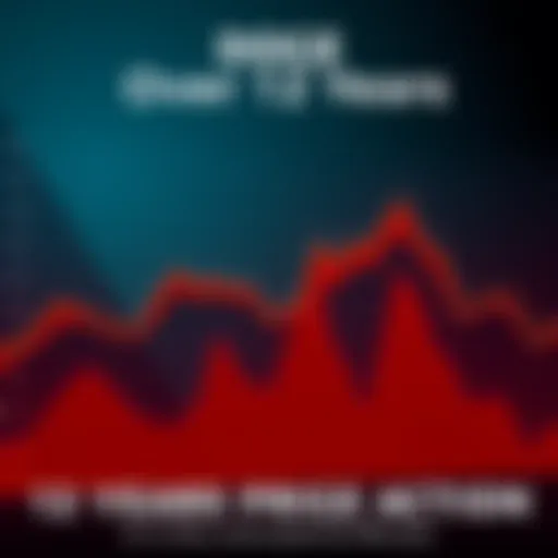 A line graph showing the fluctuations in DOGE price over 12 years with marked peaks and valleys, symbolizing market highs and lows