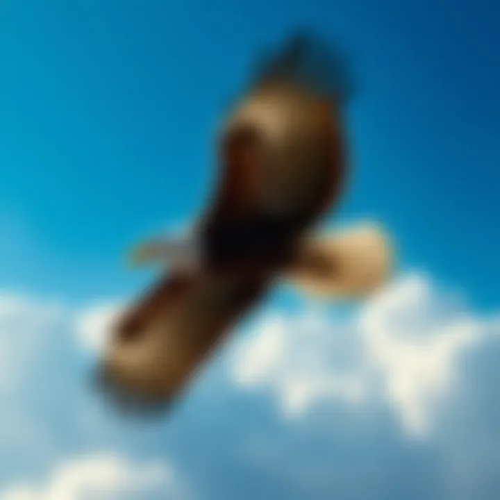 Eagle in Flight An eagle soaring in the sky, symbolizing freedom and perspective, with a backdrop of blue clouds.