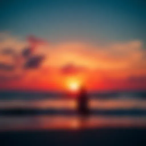 A person standing on a beach at sunset, looking out at the ocean, symbolizing a farewell and new beginnings.