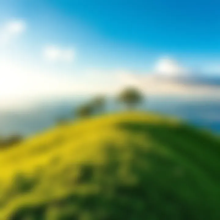 A beautiful view of a unique plot of land with green grass and trees, symbolizing opportunity for investment