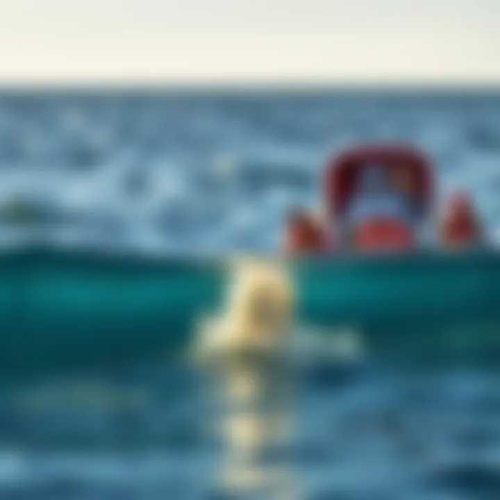 Object Found in Lake Superior A close-up of a mysterious object partially submerged in Lake Superior's clear waters, surrounded by curious onlookers on a boat.