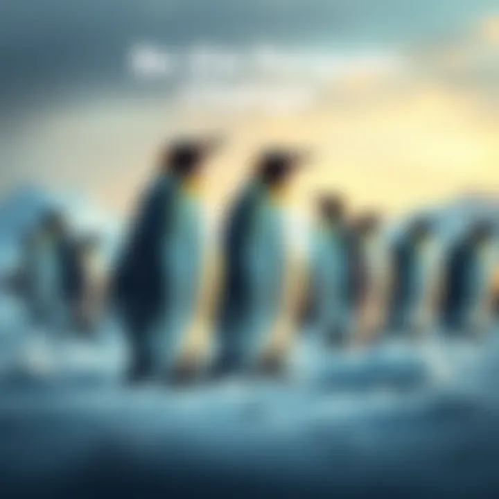 A group of penguins standing on ice, symbolizing adaptability and resilience in the face of change.