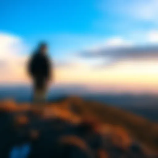 A person standing on a hilltop, gazing out at a vast landscape, reflecting on life decisions and challenges.