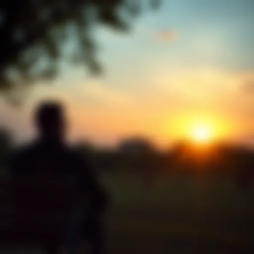 A person sitting on a park bench, looking thoughtful while gazing at the sunset, representing self-reflection and personal growth.