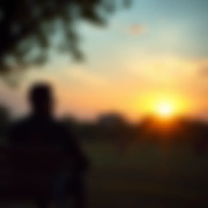 A person sitting on a park bench, looking thoughtful while gazing at the sunset, representing self-reflection and personal growth.