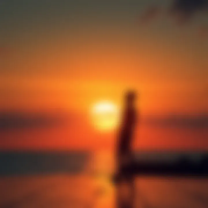 Person reflecting on life choices A silhouette of a person standing in a contemplative pose with a sunset background, symbolizing reflection on life's direction