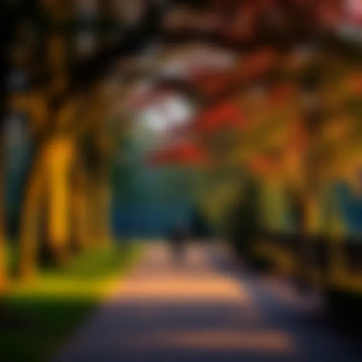 Person walking in a park A person walking in a park to relieve stress during Bitcoin market downturns