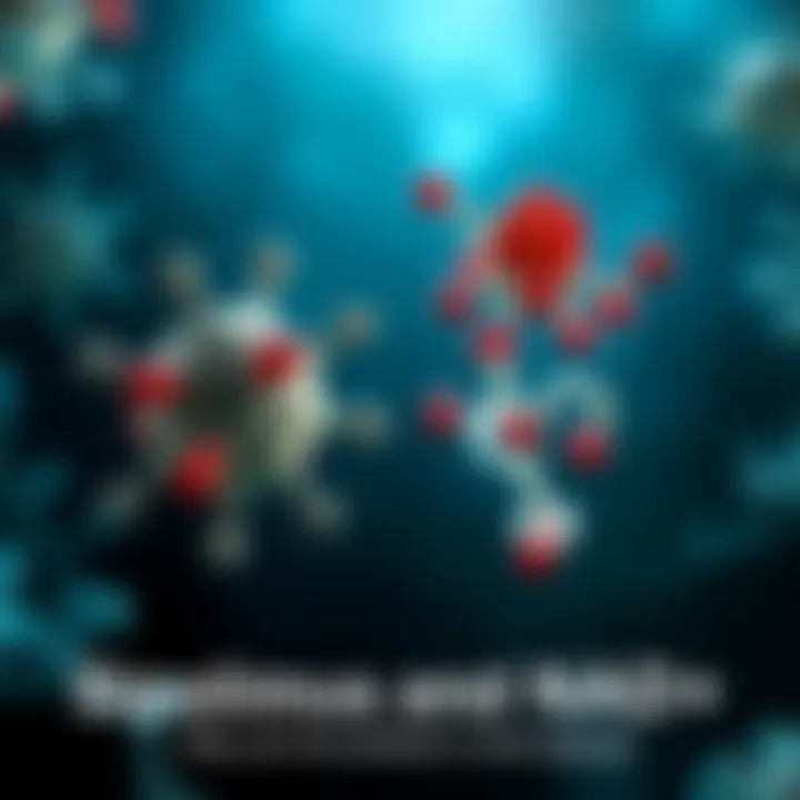 A visual representation comparing Sirolimus and NAD+ in a scientific context, showcasing their molecular structures and potential benefits for anti-aging.