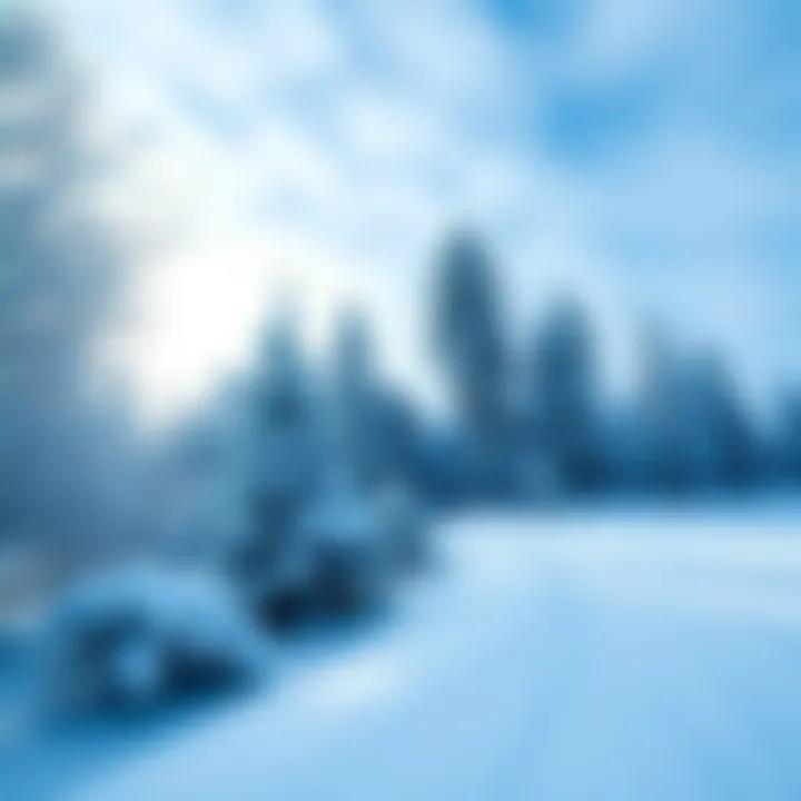 A serene winter scene with fresh snow covering trees and ground, highlighting the beauty of a snowy day