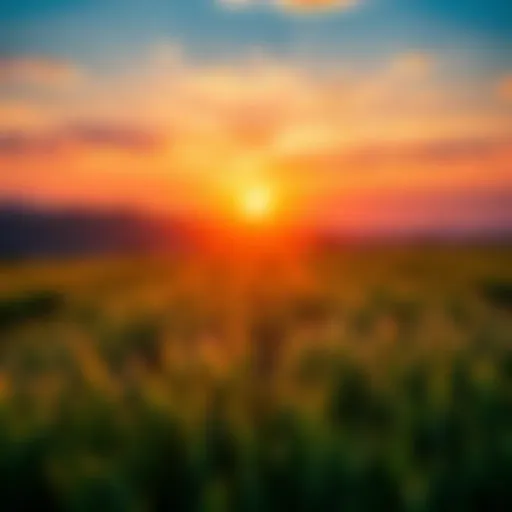 A beautiful sunrise illuminating a green field symbolizing new beginnings and hope