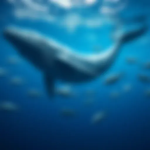 A visual representation of Whale token holders, showing a large whale swimming among smaller fish, symbolizing significant token ownership in the market.