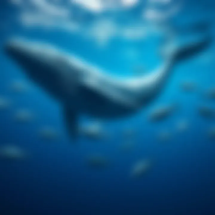 A visual representation of Whale token holders, showing a large whale swimming among smaller fish, symbolizing significant token ownership in the market.